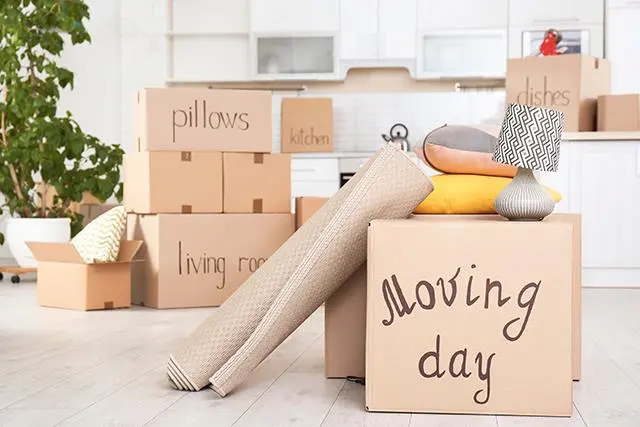 Best Moving Solutions