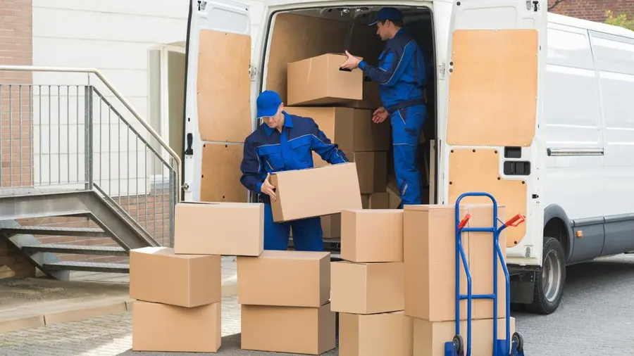 Personalized Moving Options for Different Needs
