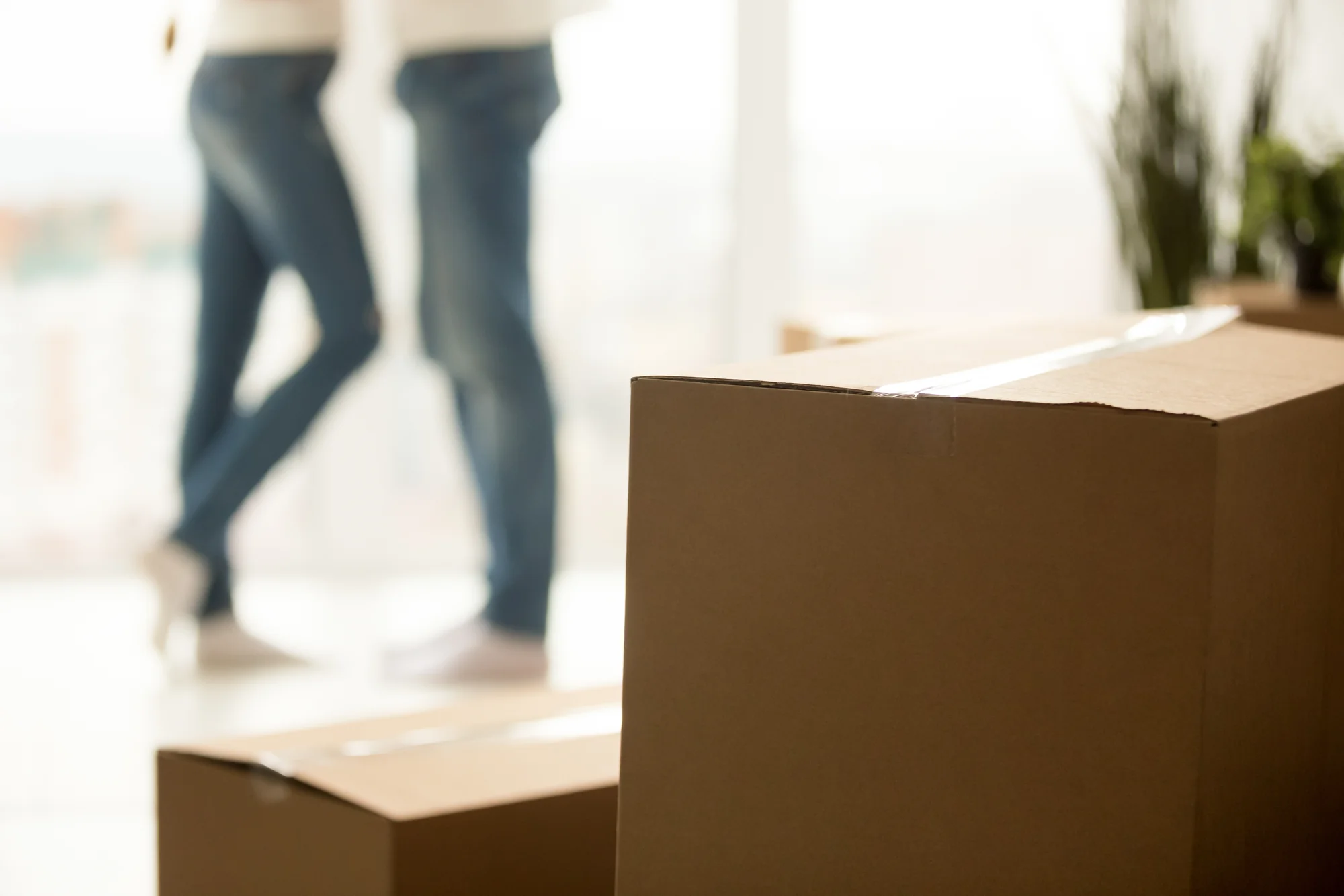 Presto Movers Residential Movers Ventura, CA