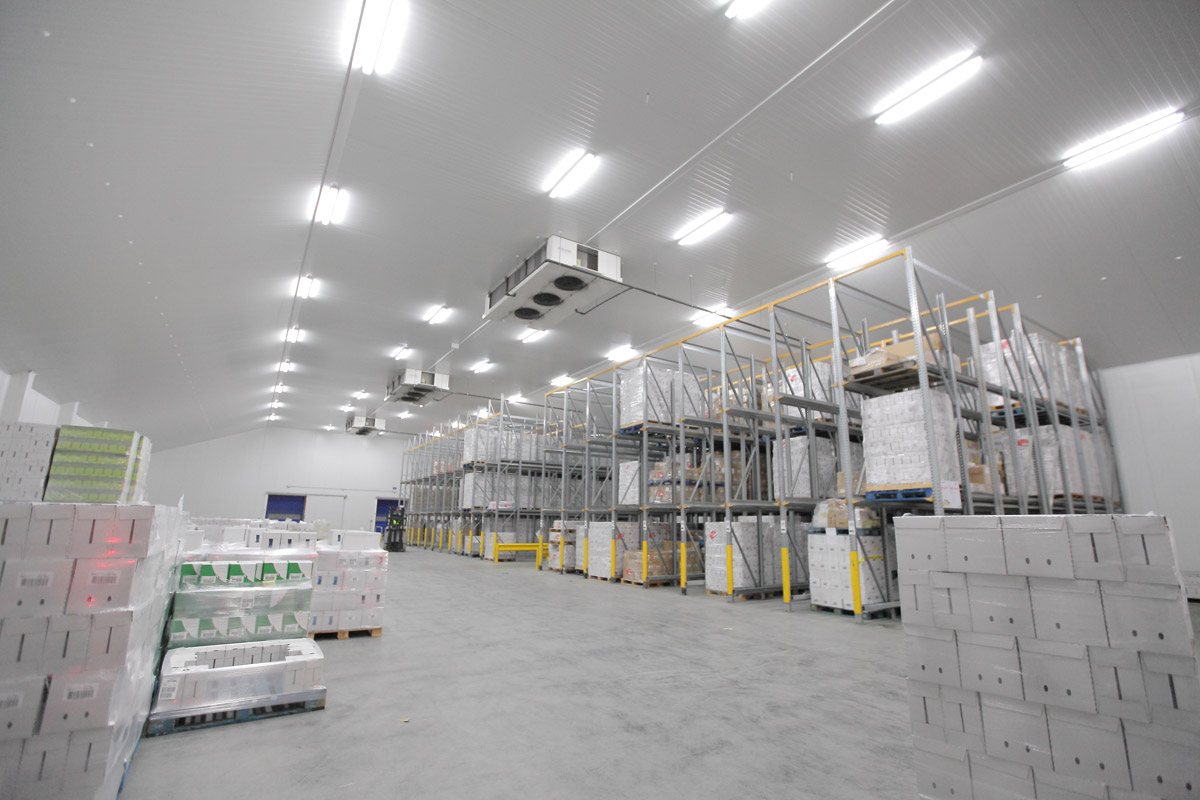 Refrigerated warehouse interior with palletized cold chain inventory