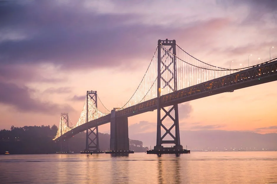 professional cost of movers bay area overview in San Francisco by Presto Movers
